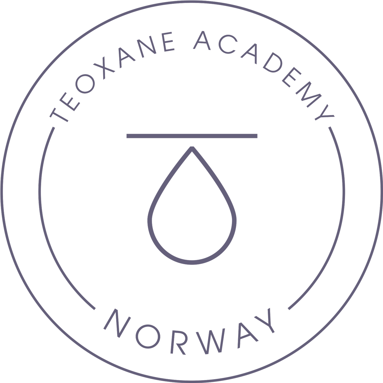 Teoxane Academy Norway logo